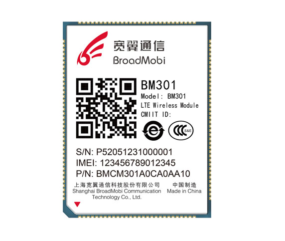 BM301