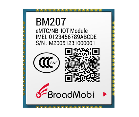 BM207